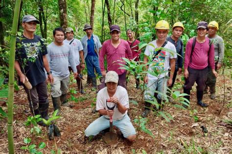 tree planting organizations philippines|Fostering Education & Environment for Development, .